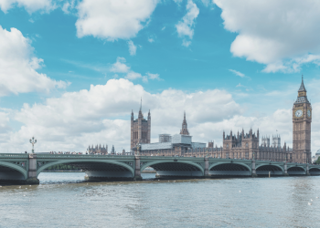 Untitled design (15)